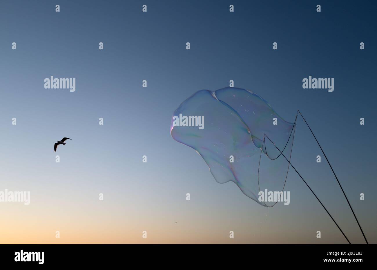 Soap bubbles with rainbow reflection. Buble at the blue sky. Bubble ...
