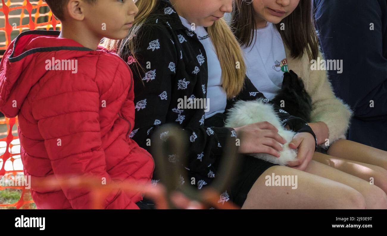 Two young girls & a boy sit with black & white furry animals in their laps at a petting zoo during 2022 St George’s Day Celebration. Pinner, London. Stock Photo