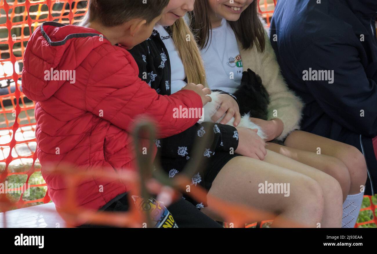 Two young girls & a boy sit with black and white furry animals in their laps at a petting zoo during 2022 St George’s Day Celebration. Pinner, Harrow. Stock Photo