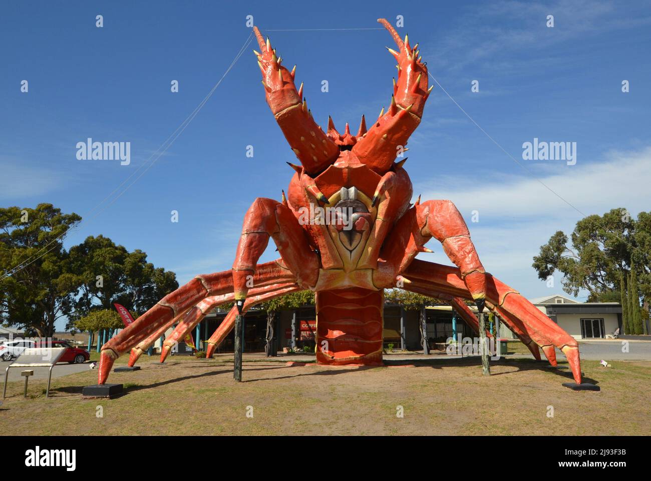 This very large concrete painted lobster is called Larry and is a very famous landmark in the South Australia town of Kingston, promoting seafood Stock Photo