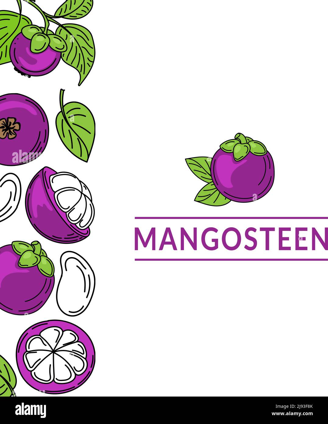 Template with mangosteens drawn with sketch style doodle elements