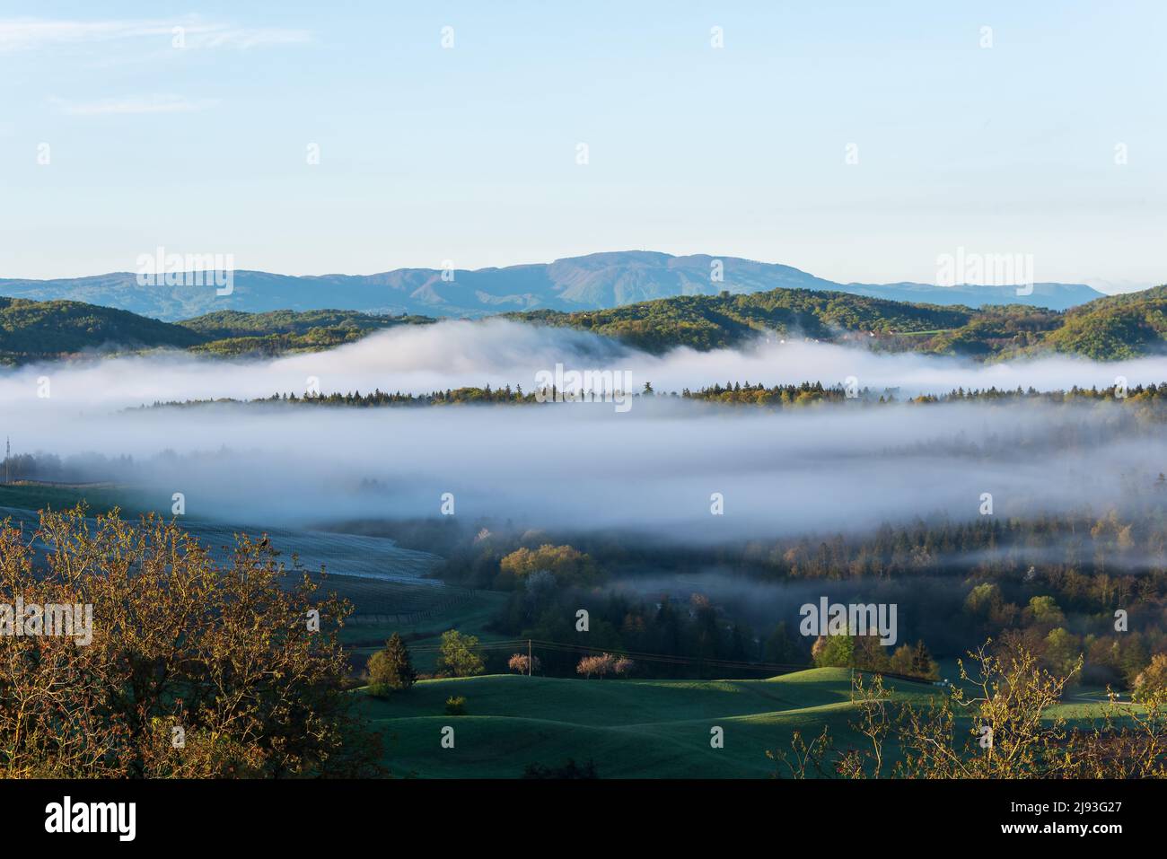 Aerial view foggy forest green hi-res stock photography and images - Alamy