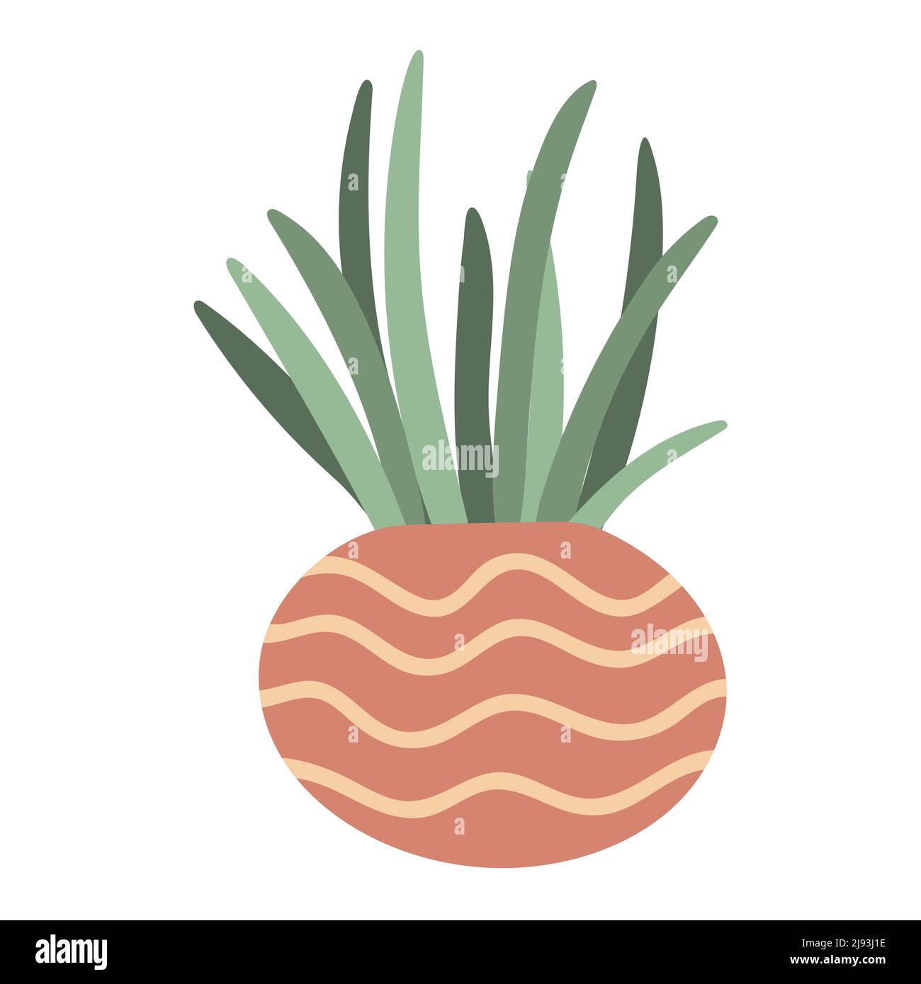 Houseplant in clay decorated pot hand drawn Stock Vector Image & Art ...
