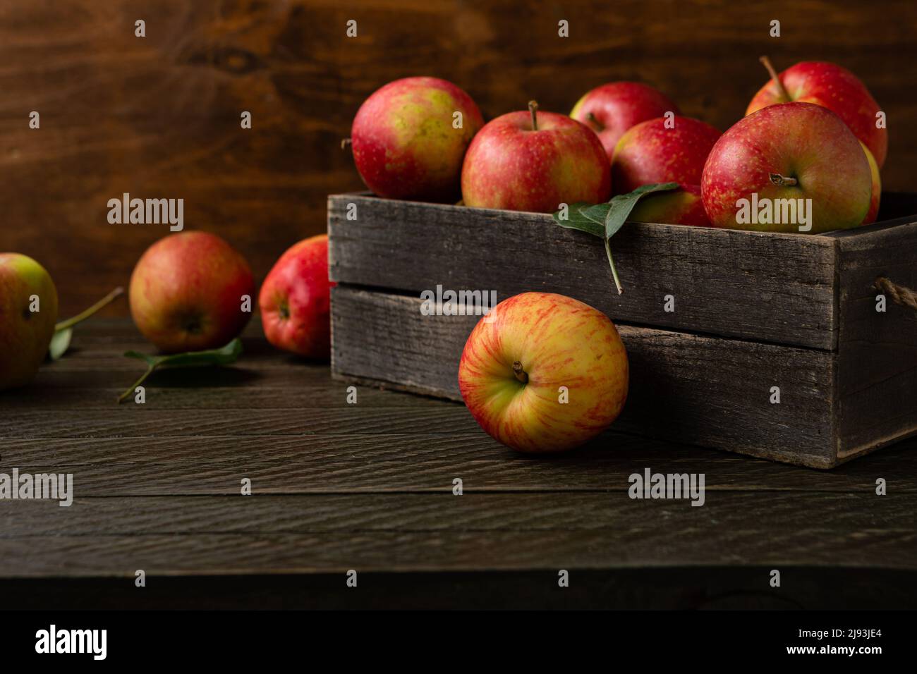 Close up Fresh harvest of apples in a wooden box food dark background Stock Photo