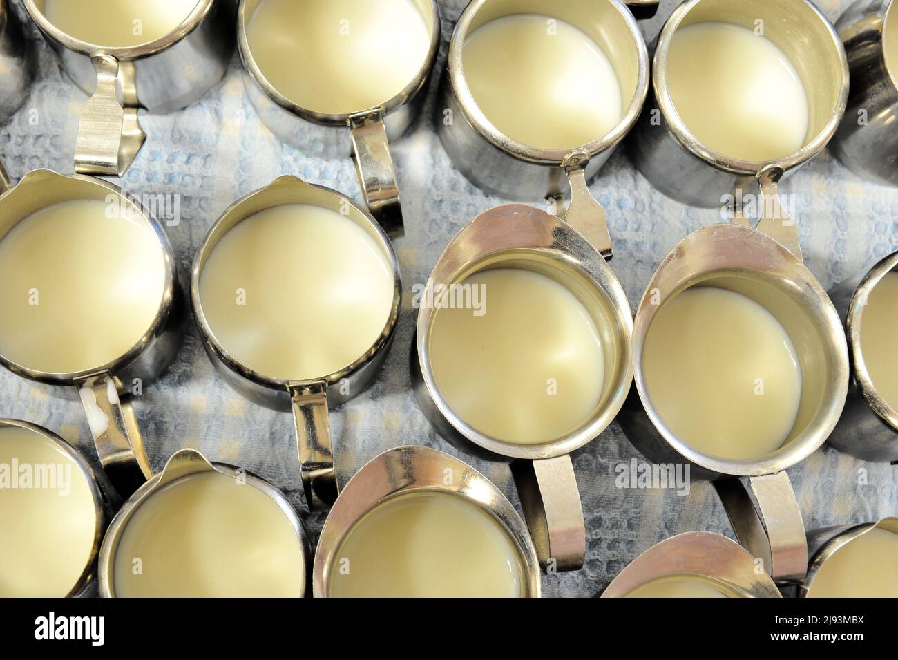 A grouping of small metal hospital bedside milk jugs, all containing milk. Stock Photo