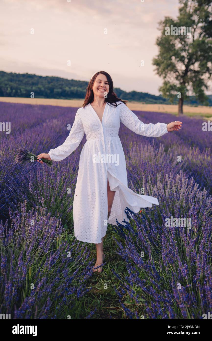 gorgeous woman in white dress at lavender field sunset time Stock Photo ...