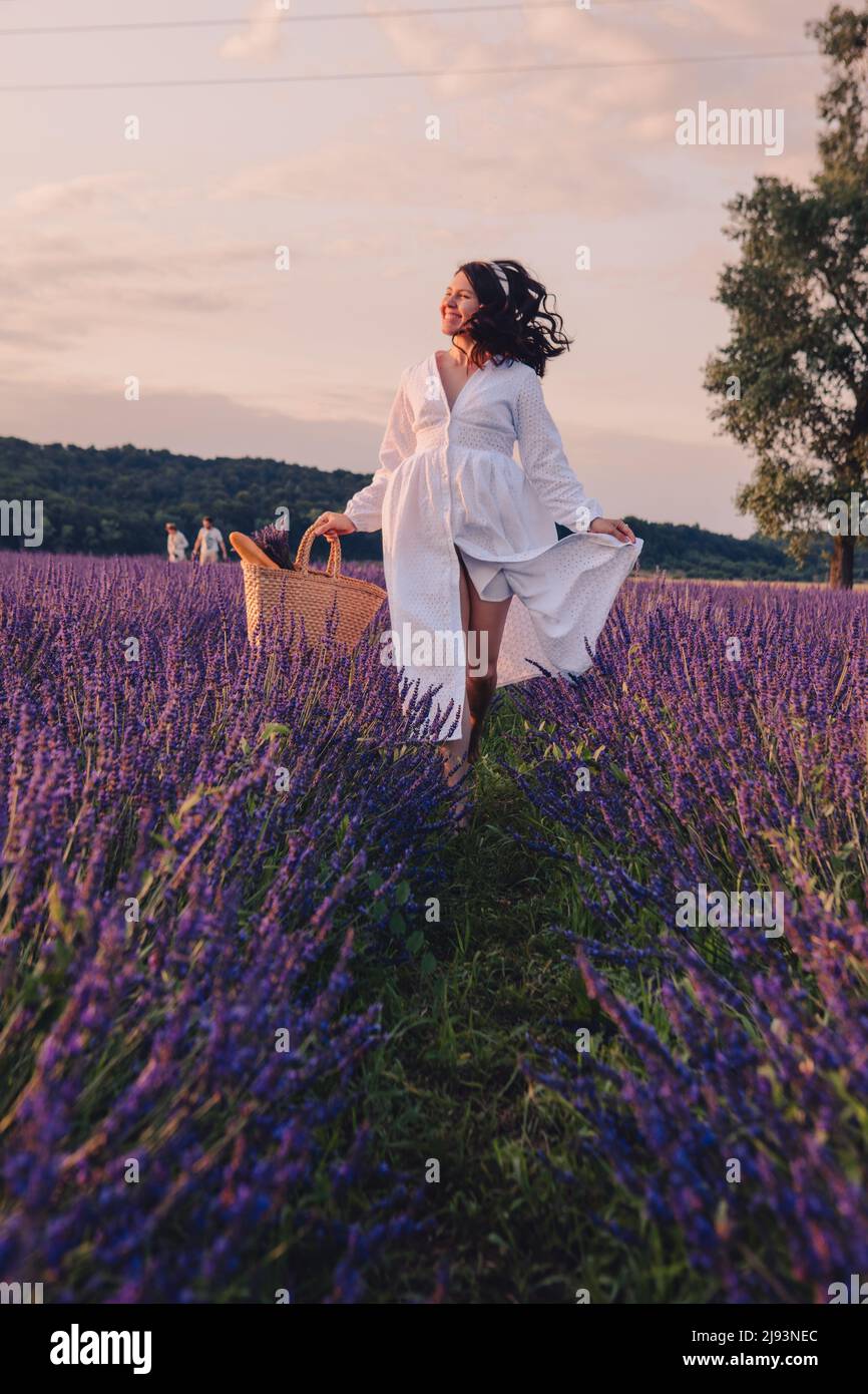 gorgeous woman in white dress at lavender field sunset time Stock Photo ...