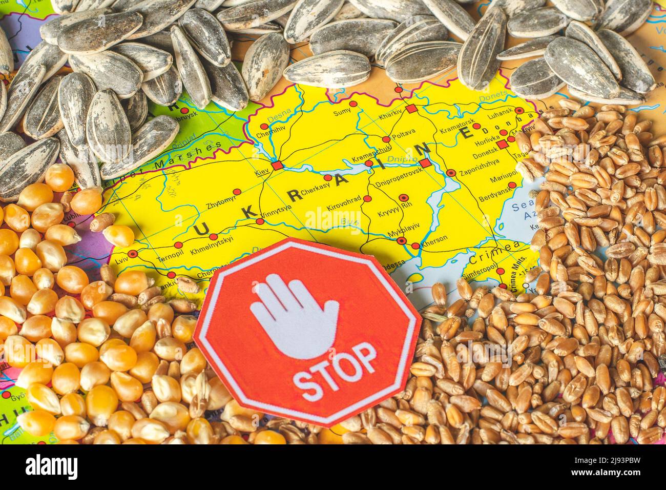 Wheat grains on the map of Ukraine, Ukrainian grain crisis, global hunger crisis concept due to war Stock Photo