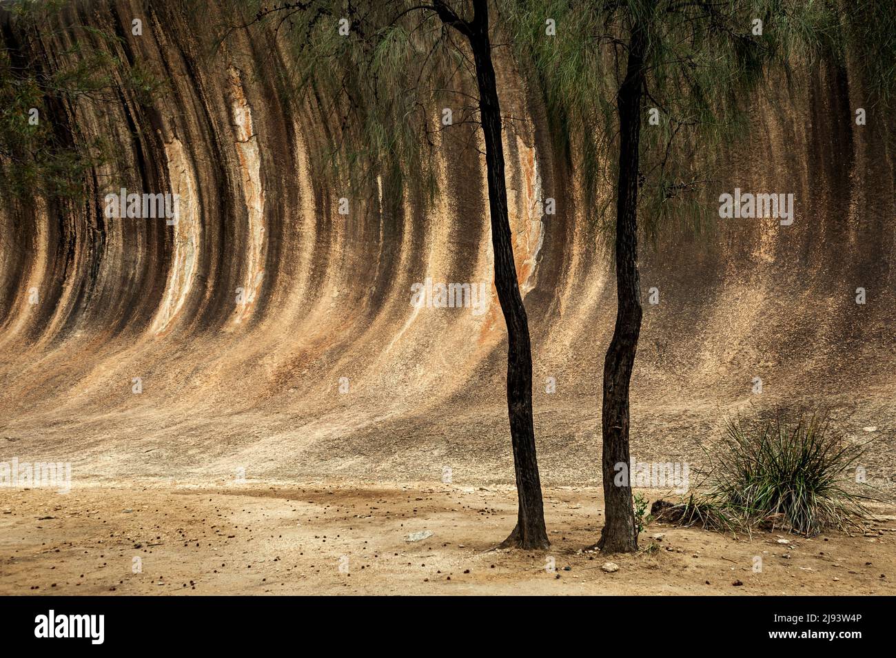 Outstanding Wave Rock in Western Australia's Outback. Stock Photo