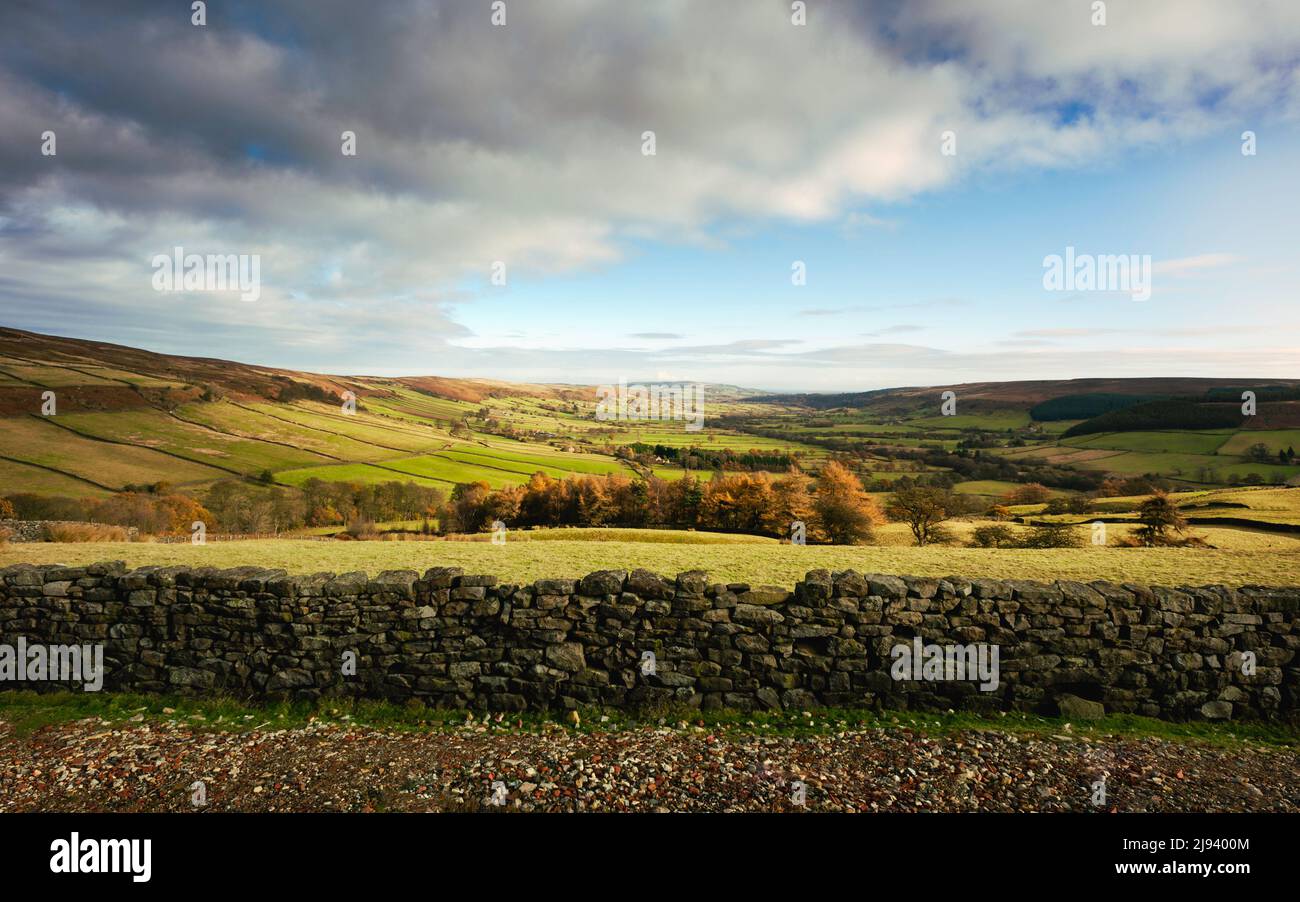 View along the dale with dry stone wall with trees, fields, and heath under blue sky with clouds at sunrise on a bright autumn morning. Stock Photo