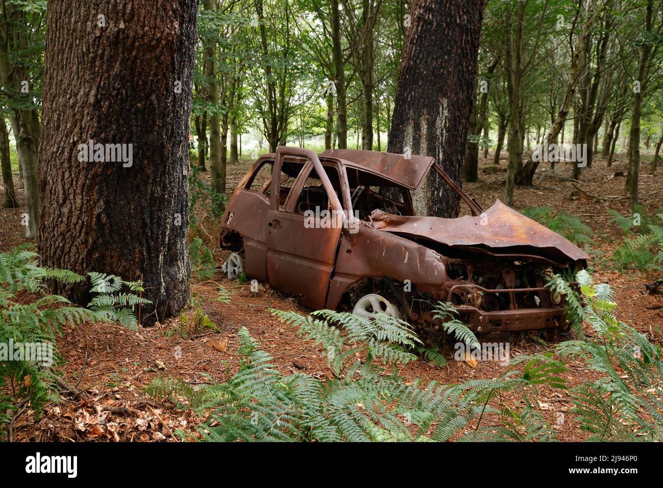 Abandoned car in forest hi-res stock photography and images - Alamy