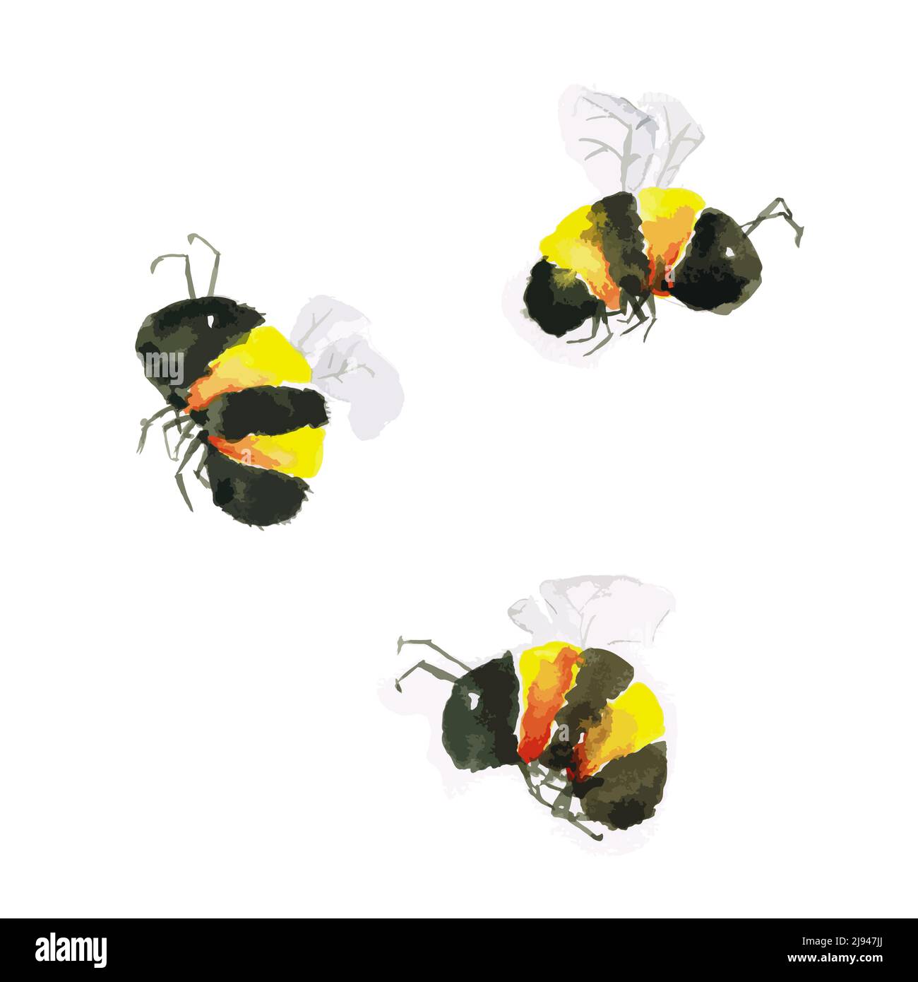 Watercolor painting of three cute bumblebees on a white background, vector illustration Stock Vector