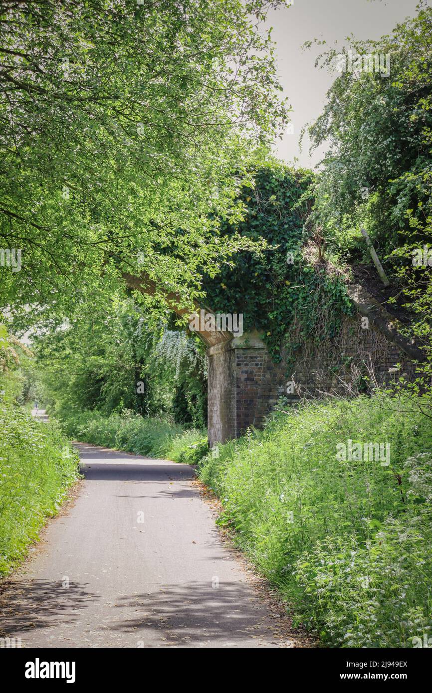 Chester Millennium Greenway, National Cycle Network Stock Photo