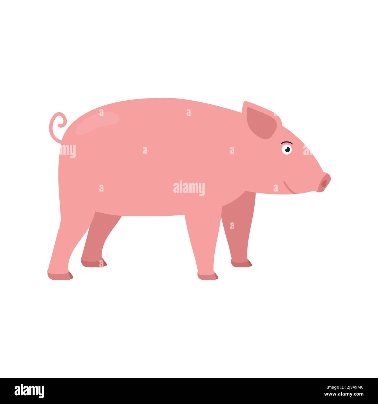 Pig vector illustration in flat style isolated on white background ...