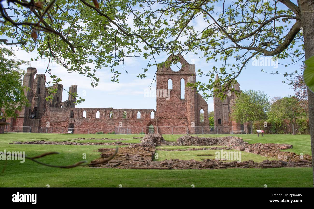 Arbroath Abbey the south transept and round window used as a guide for sailors Stock Photo
