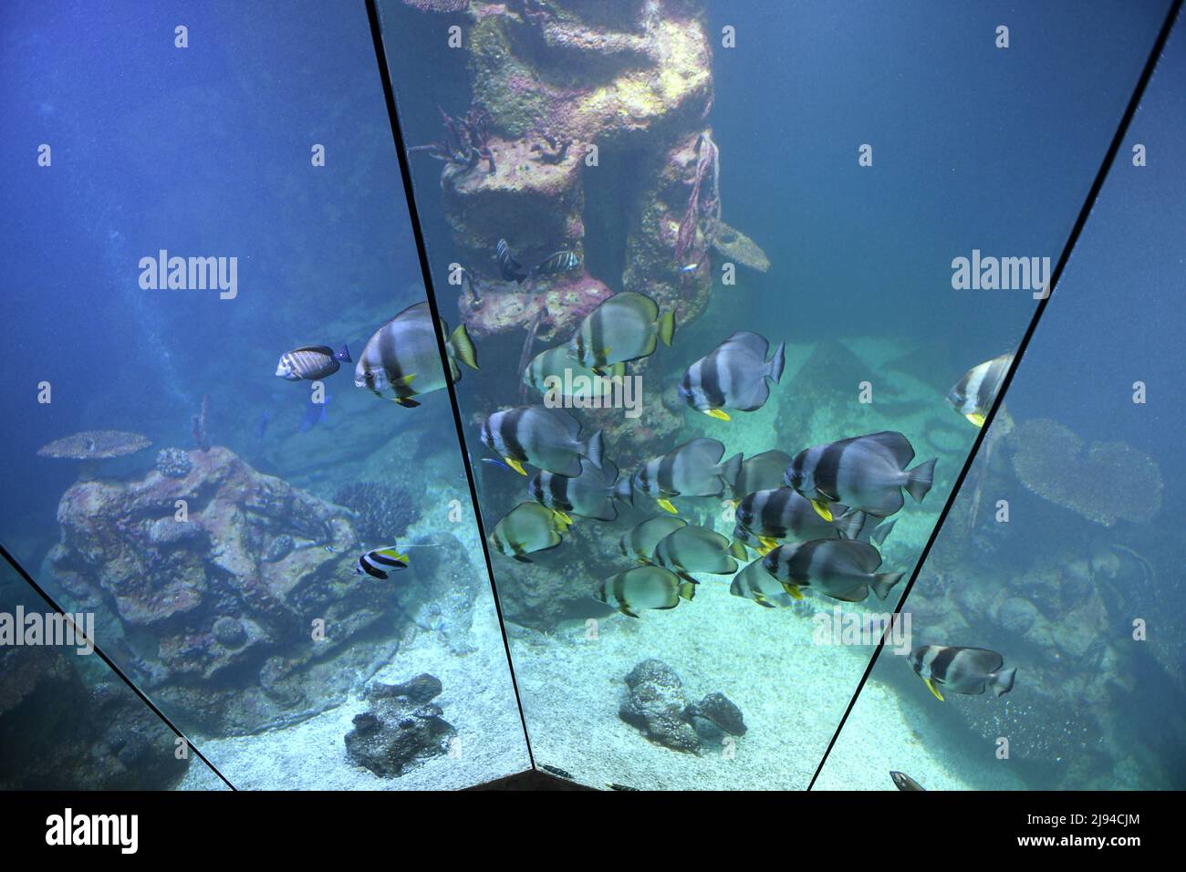 Haus des Meeres in Wien, Österreich, Europa House of the Sea in