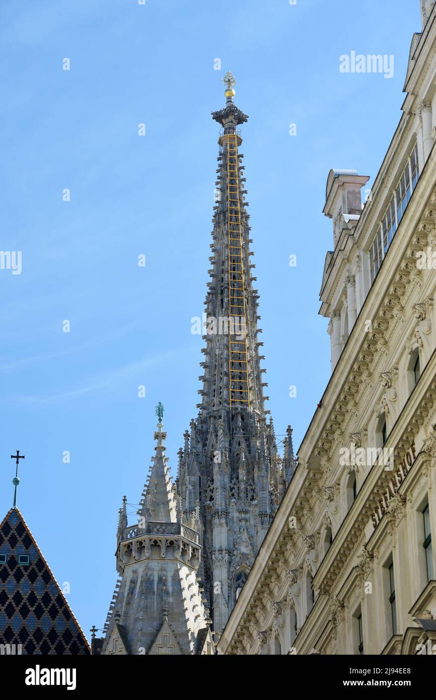 Der Stephansdom in Wien am Tag, Österreich, Europa - St. Stephen's Cathedral in Vienna with blue sky, Austria, Europe Stock Photo