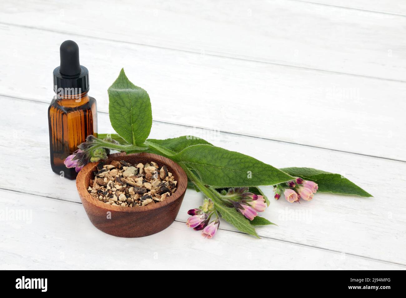 Comfrey herb leaf and root used in herbal plant medicine for skin