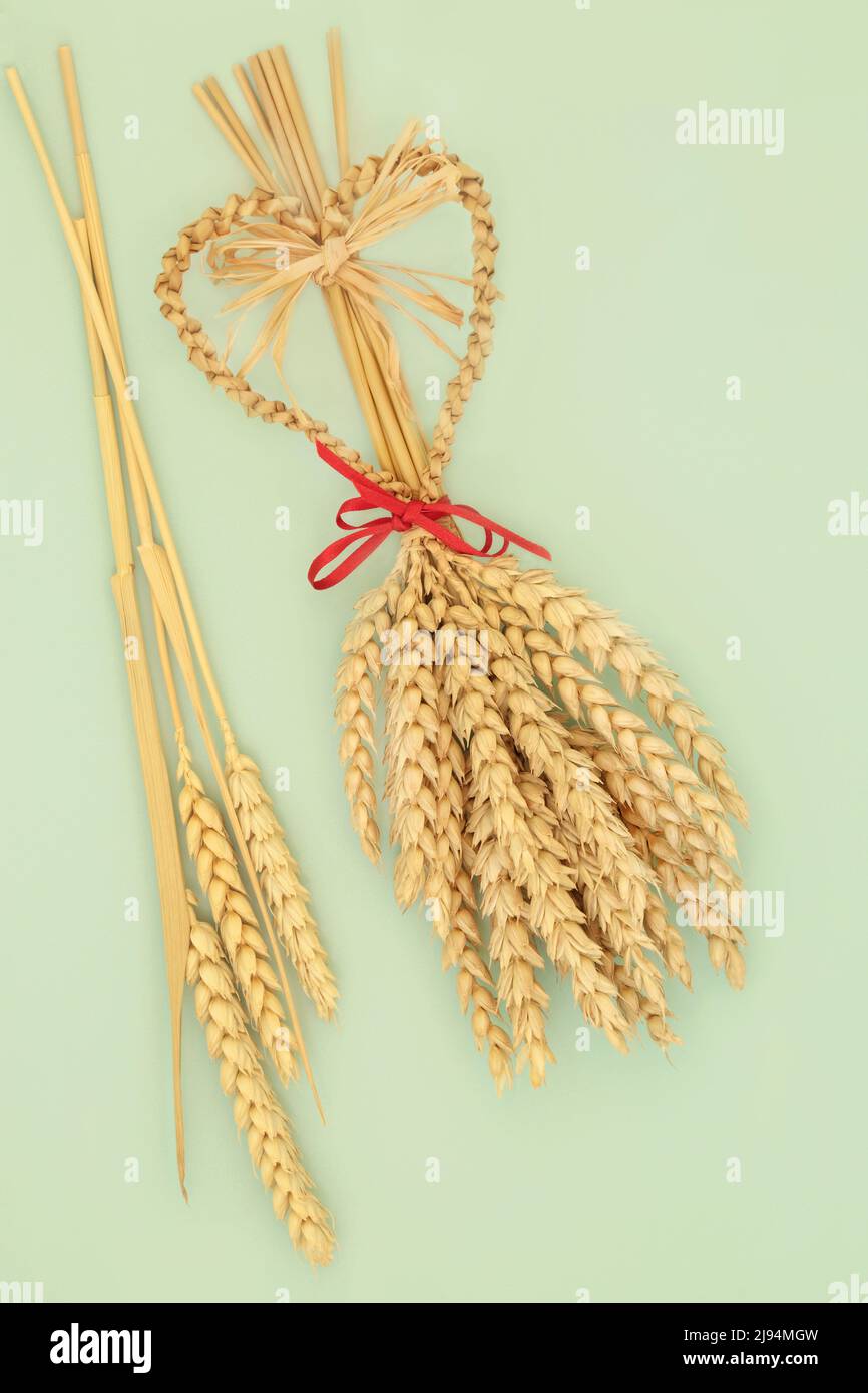 Traditional straw corn dolly with wheat sheaths. Ancient pagan symbol used in harvest festival fertility traditional ritual in Europe. Old fashioned f Stock Photo
