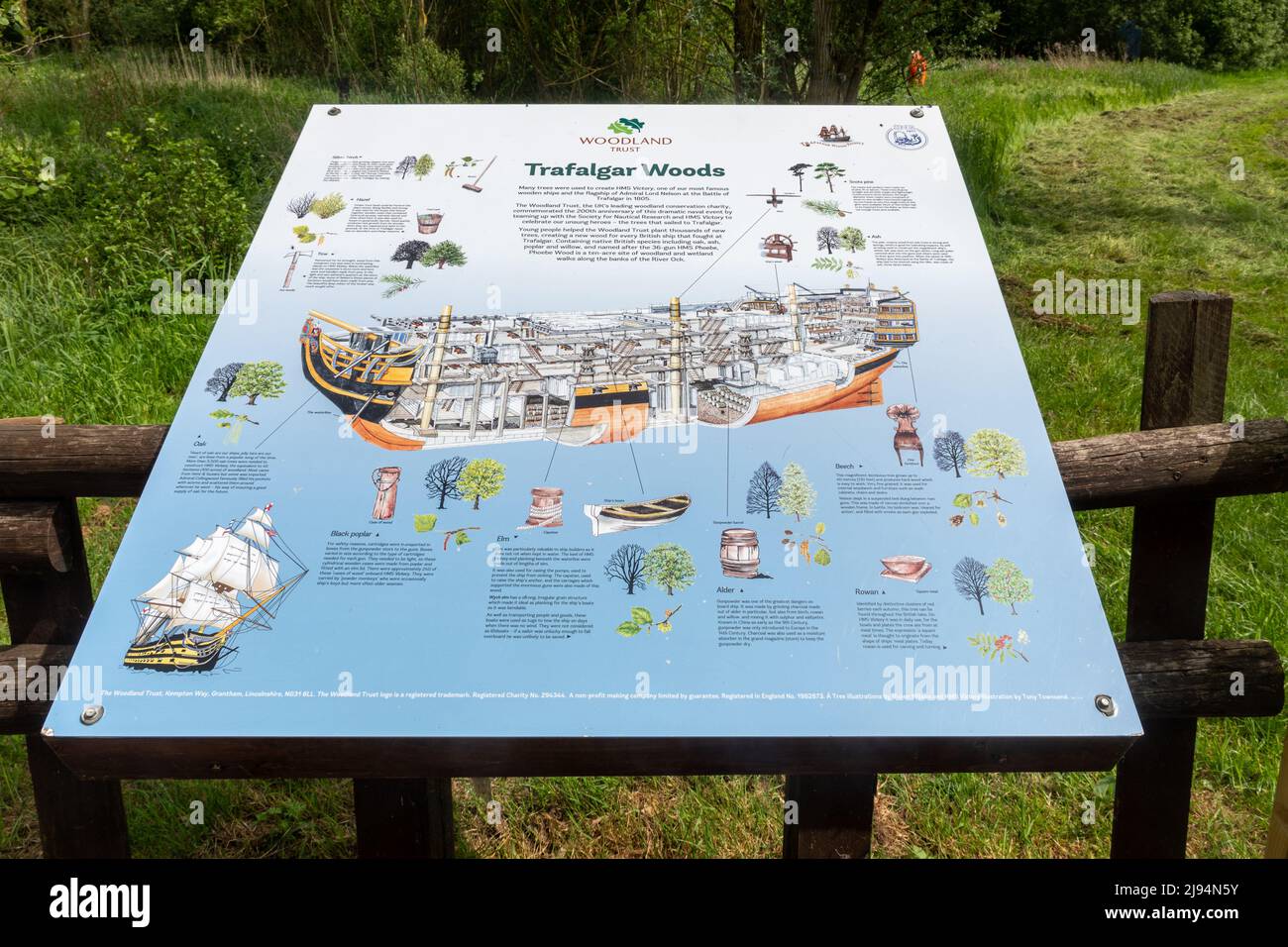 Phoebe Wood planted by the Woodland Trust, one of the Trafalgar Woods