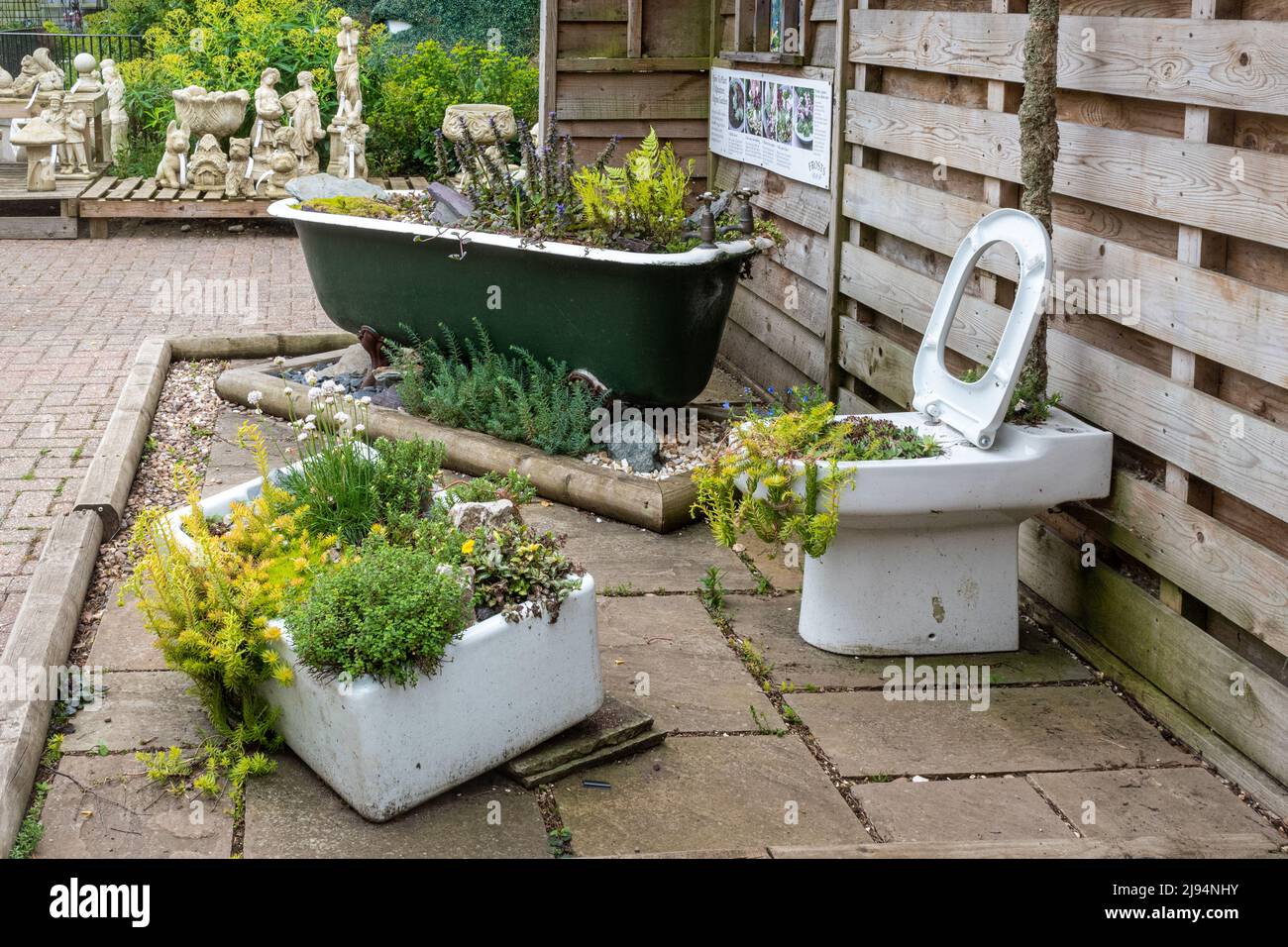 Toilet, bath and basin (old bathroom suite) planted with alpine plants as a garden centre display, UK. Upcycling concept Stock Photo