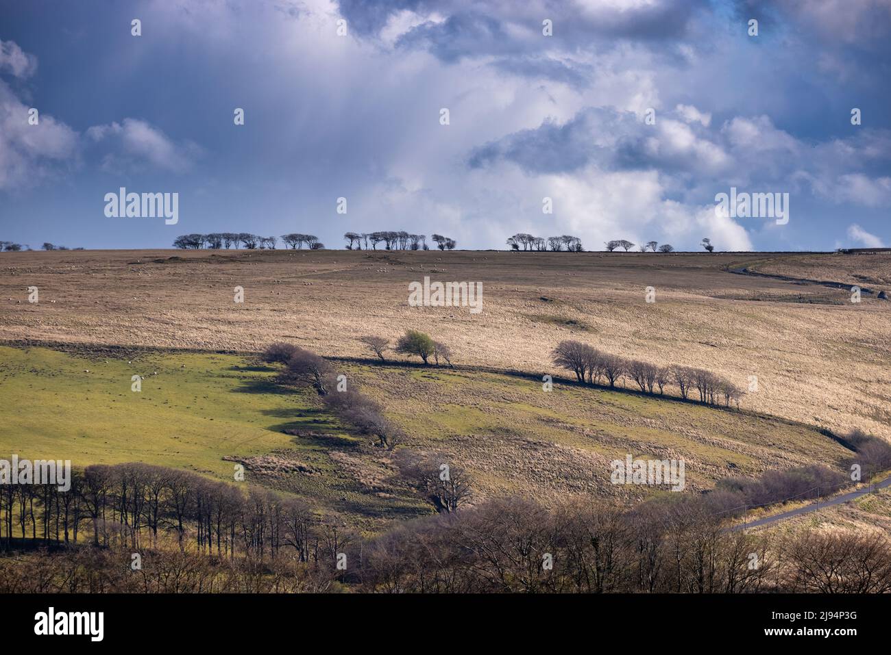 Exmoor, Simonsbath, Devon, England, UK Stock Photo