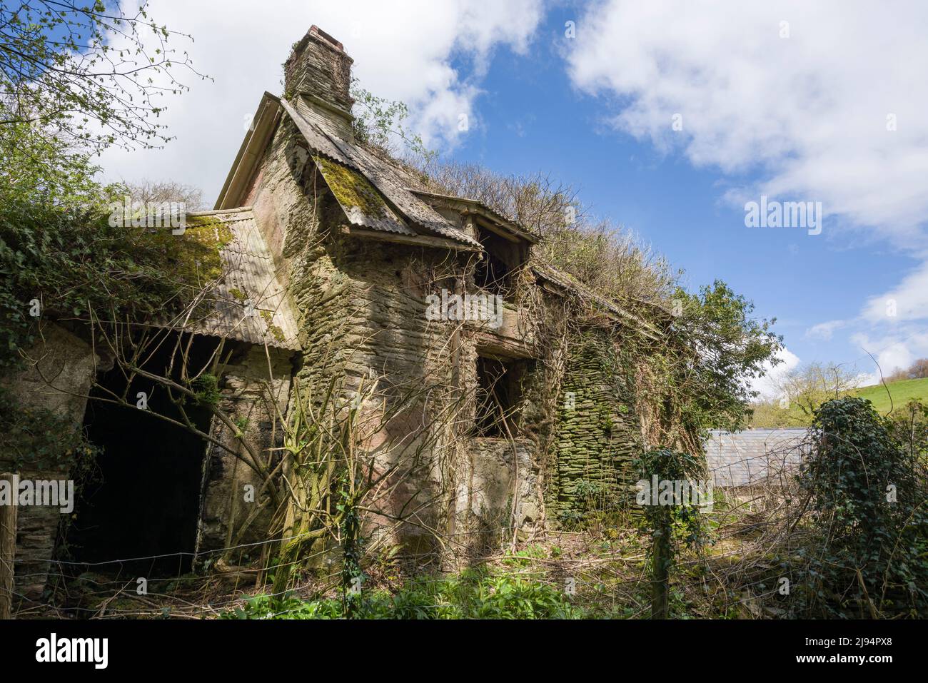 An abandoned cottage at Kersham in the Brendon Hills, Exmoor National Park, Somerset, England. Stock Photo