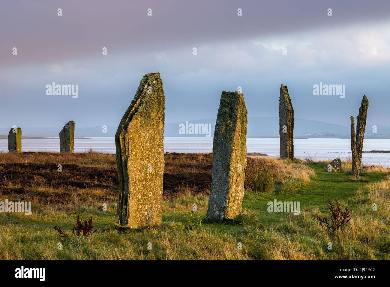 The Ring of Brodgar at dawn, Mainland, Orkney Isles, Scotland, UK Stock Photo