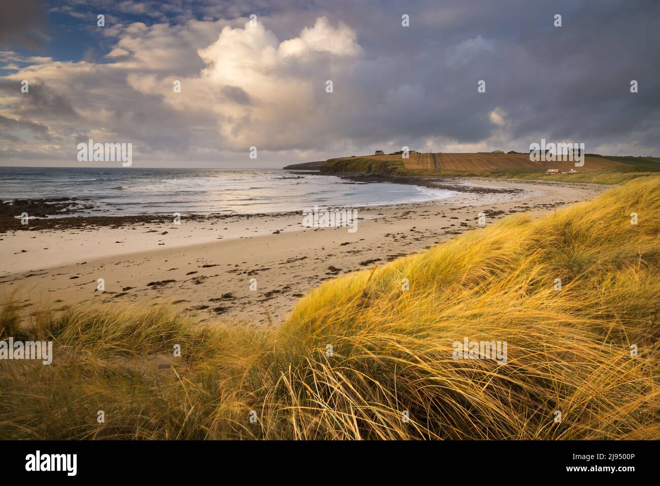 Taracliff Bay at dawn, Mainland, Orkney Isles, Scotland, UK Stock Photo