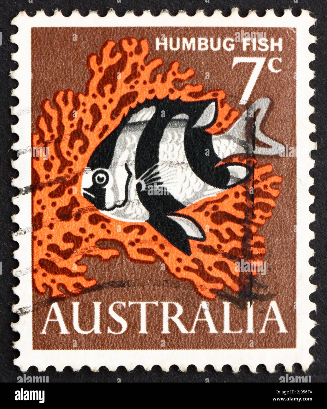 AUSTRALIA - CIRCA 1966: a stamp printed in the Australia shows Humbug Fish, Dascyllus Melanurus, Blacktail Damselfish, Saltwater Aquarium Fish, circa Stock Photo
