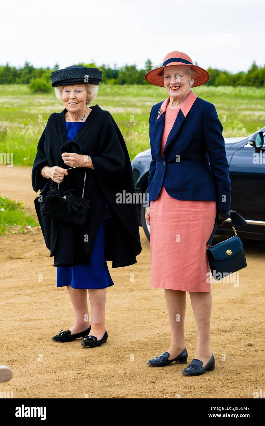 Queen Margrethe of Denmark and Princess Beatrix of the Netherlands ...