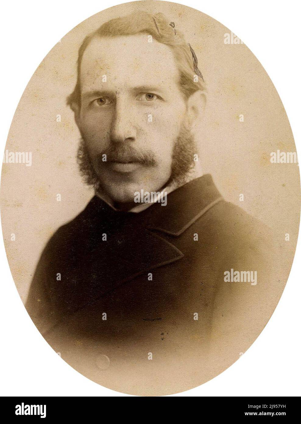 Portrait style photograph of Irish Politician John O'Connor Power Stock