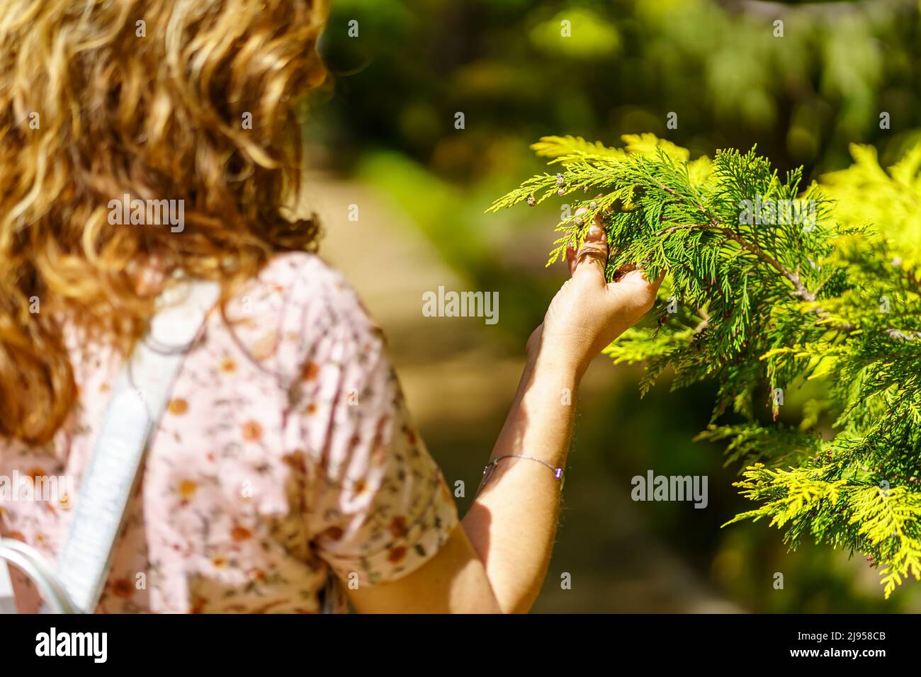 Woman taking a plant with her hand and observing its beauty. Stock Photo