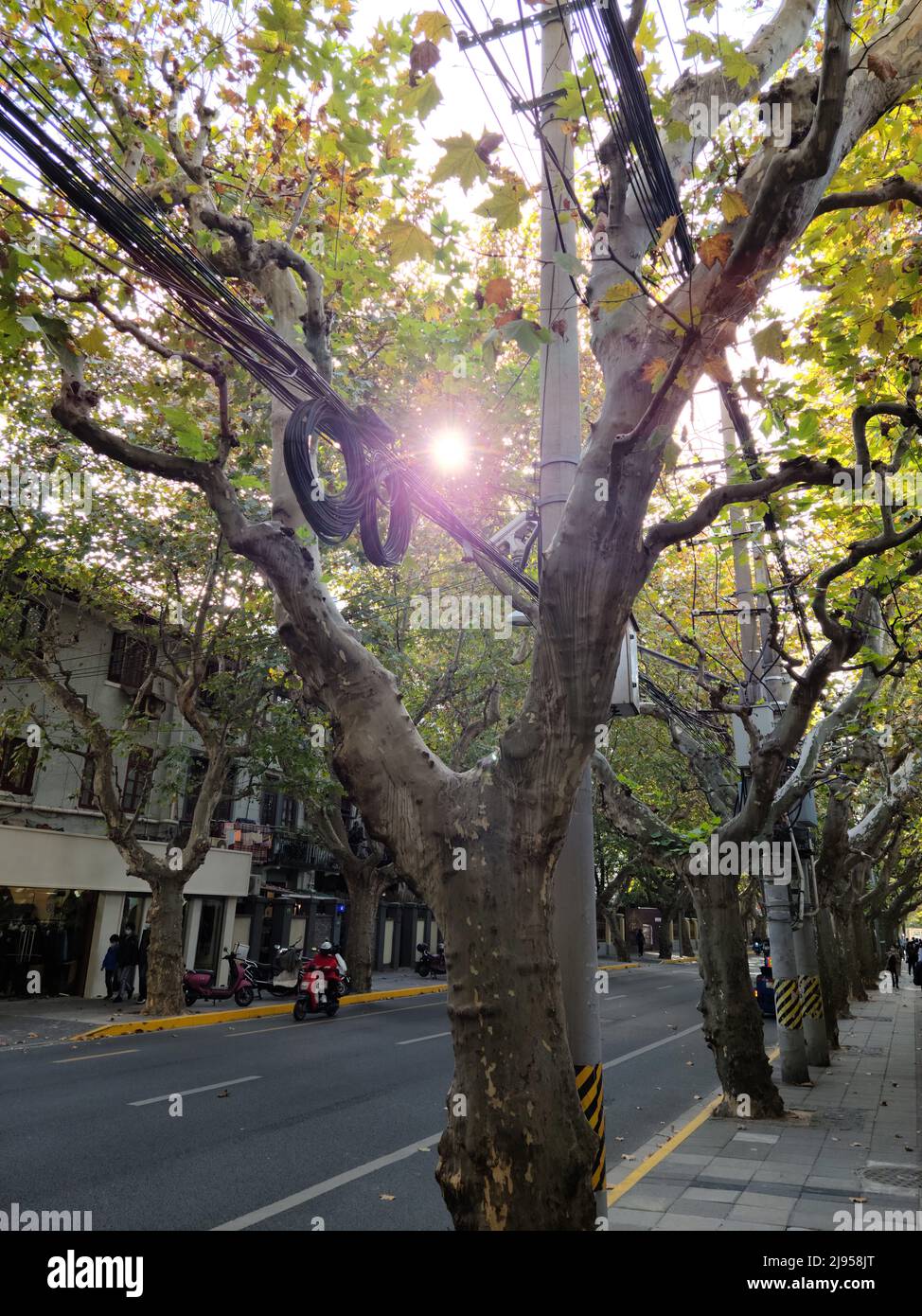 Exploring the Former French Concession in Shanghai on a sunny afternoon Stock Photo