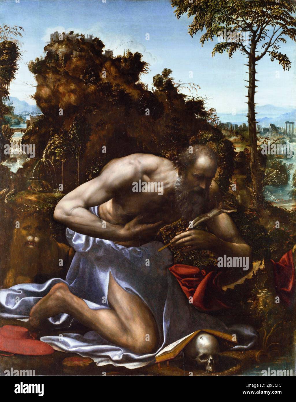 Saint Jerome in Penitence by Sodoma (1477-1549), oil on wood, c. 1535-45 Stock Photo