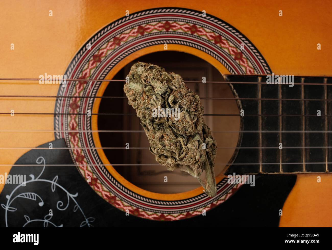 Music and marijuana concept.. Dry cannabis bud lays on the guitar Stock