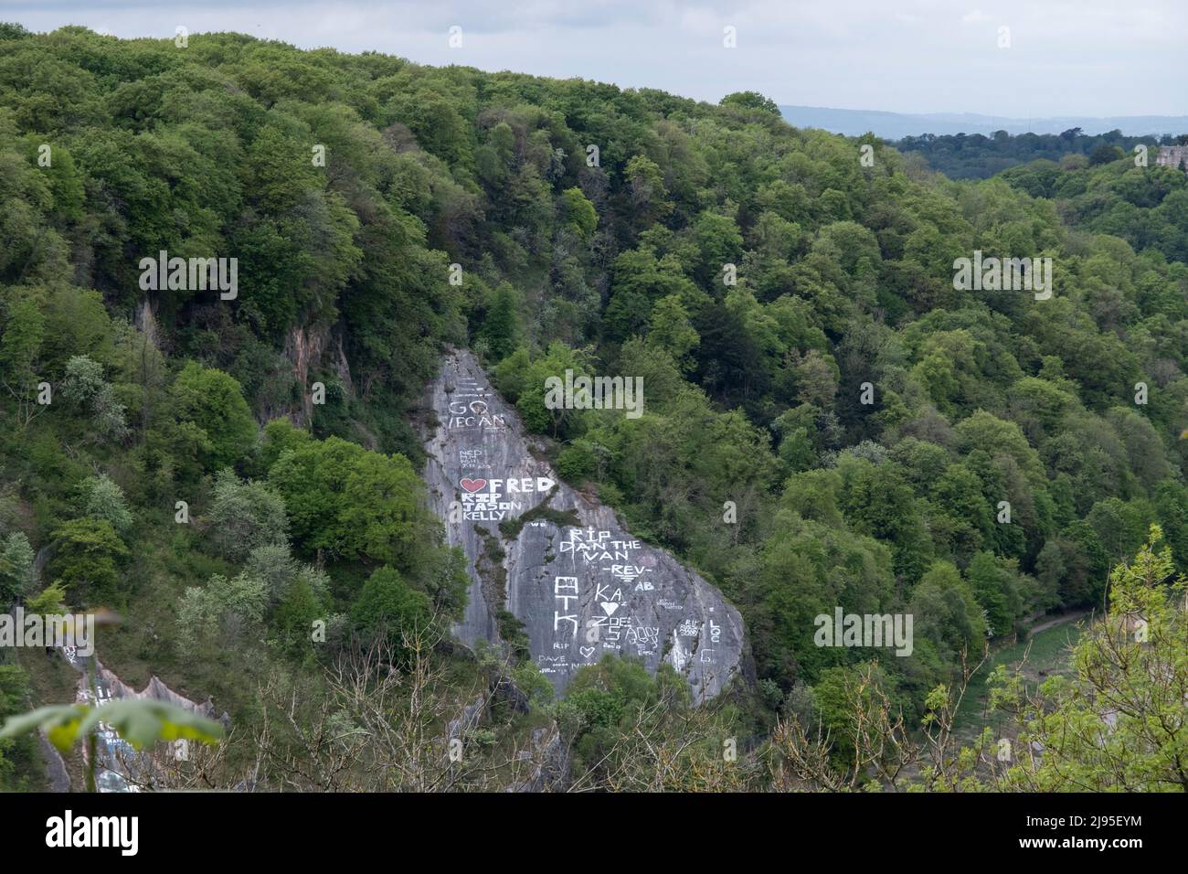 Hillside graffiti in Leigh Woods on 6th May 2022 in Bristol, United Kingdom. Stock Photo