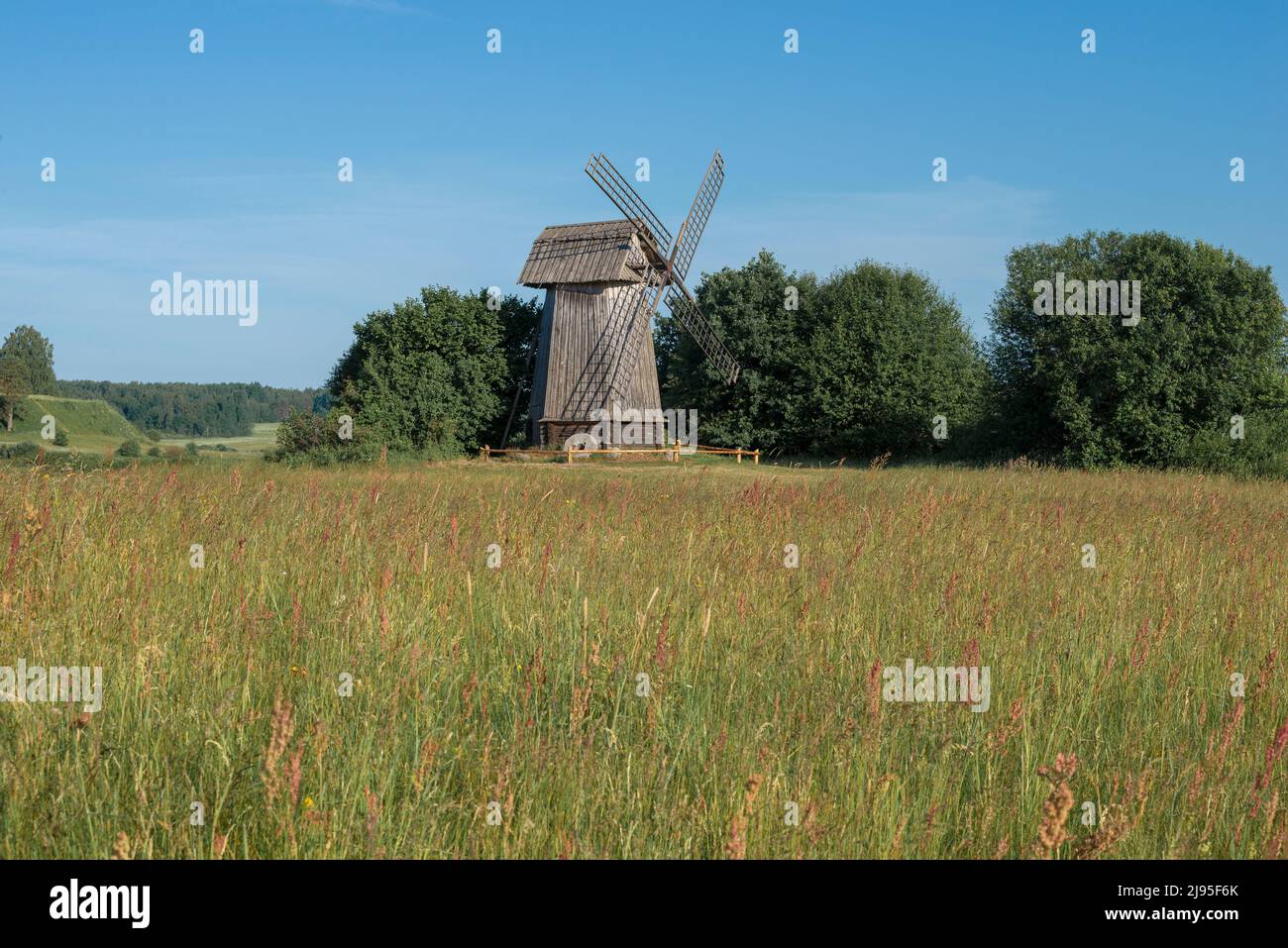 View of an old wooden windmill on a sunny May day. Mikhailovskoye, Pushkinskiye Gory. Pskov region, Russia Stock Photo