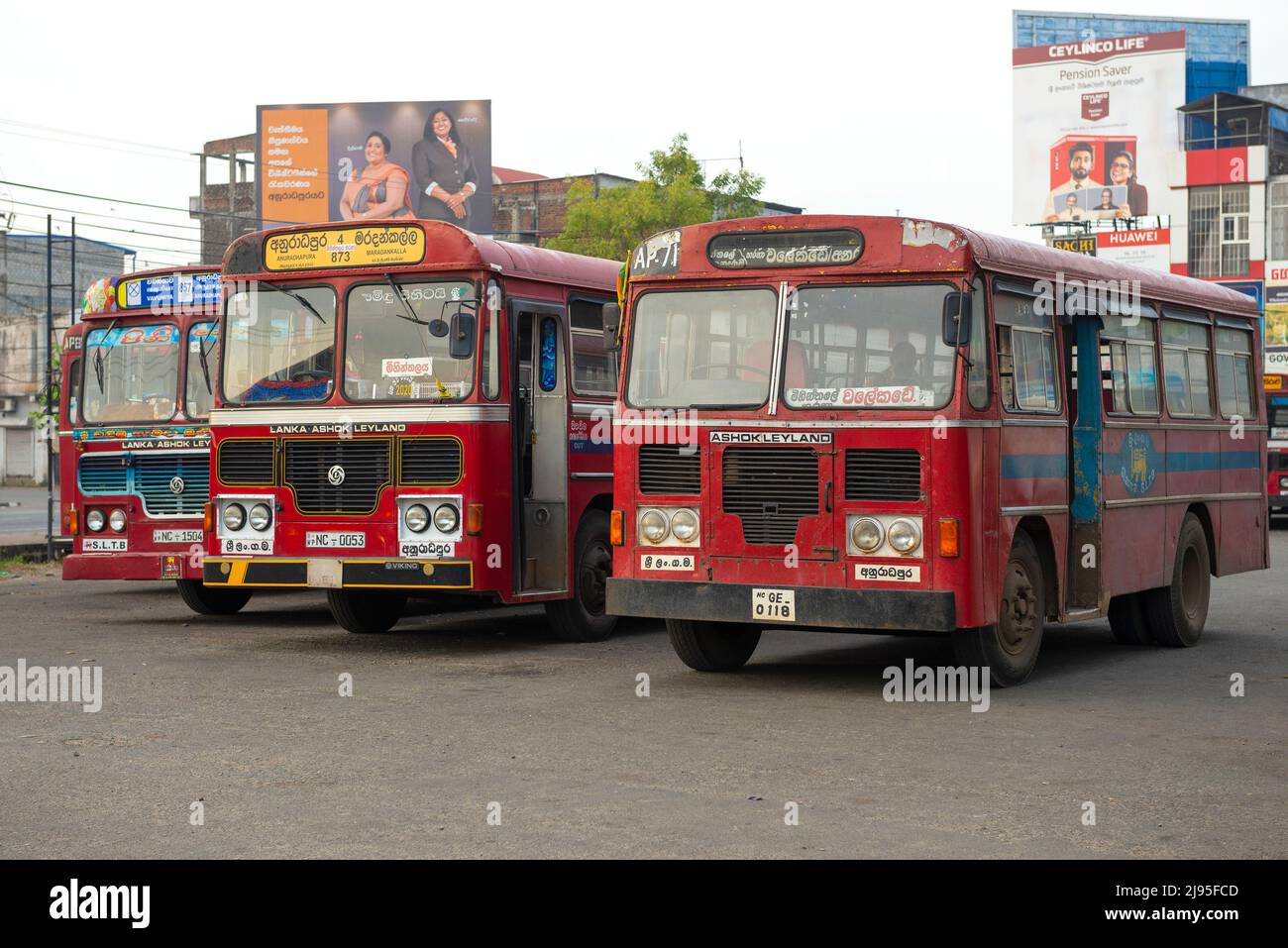 Bus in sri lanka hi-res stock photography and images - Alamy