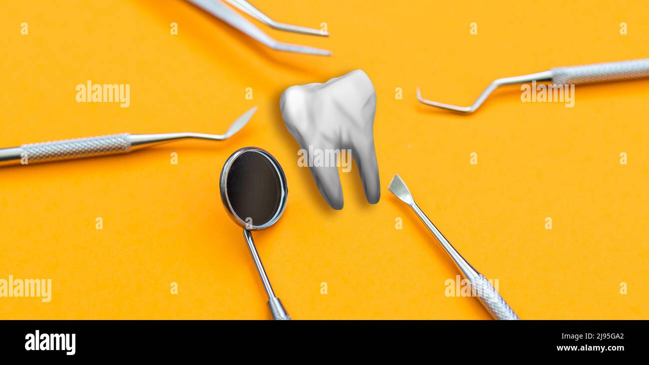 Artificial tooth and dental instrument on table. Dental services