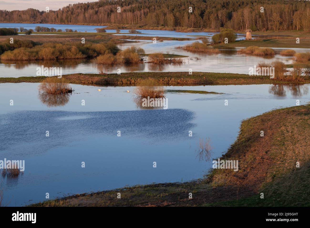 Spring flood of the river Sorot on May evening. Pushkin Mountains. Pskov region, Russia Stock Photo