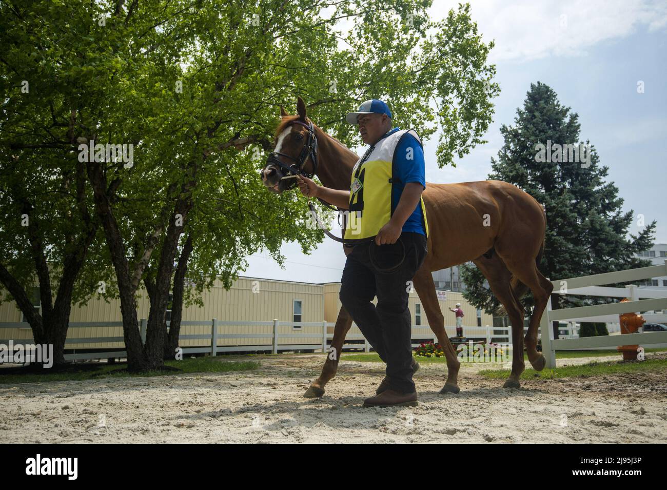 Black eyed susan horse race hires stock photography and images Alamy