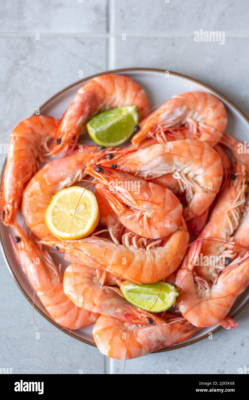 ocean king prawns or jumbo shrimps Stock Photo Alamy
