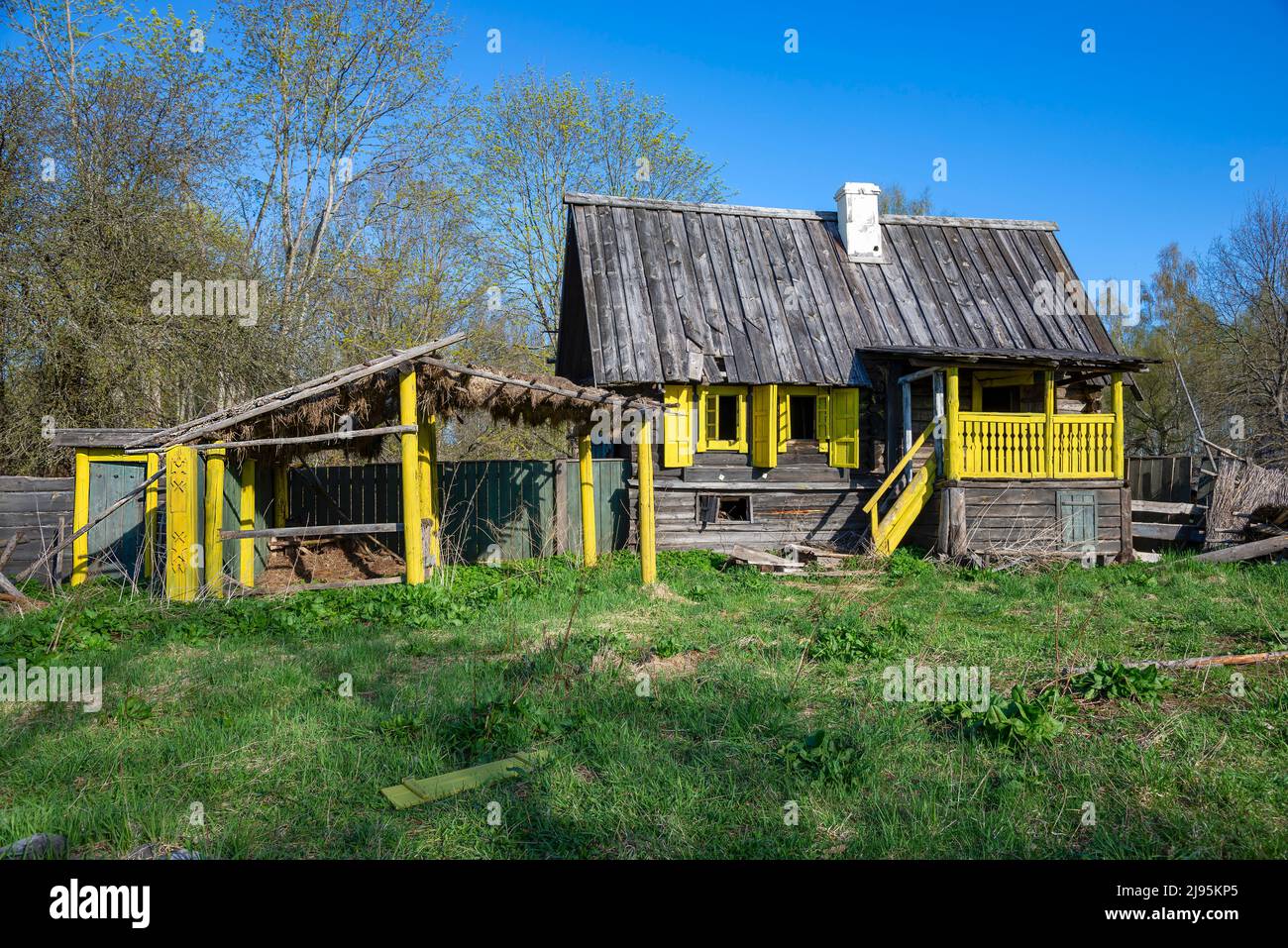 Abandoned wooden house in the village of Pskov region, Russia Stock Photo