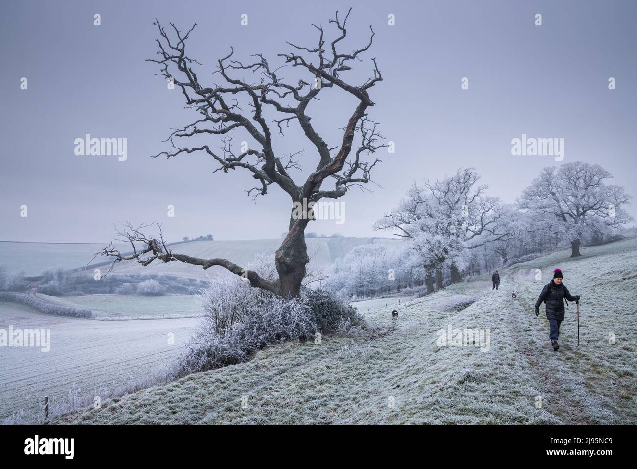 Wendy and a dog walker on Vartenham Hill on a frosty New Year's Day, Milborne Port, Somerset, England, UK Stock Photo