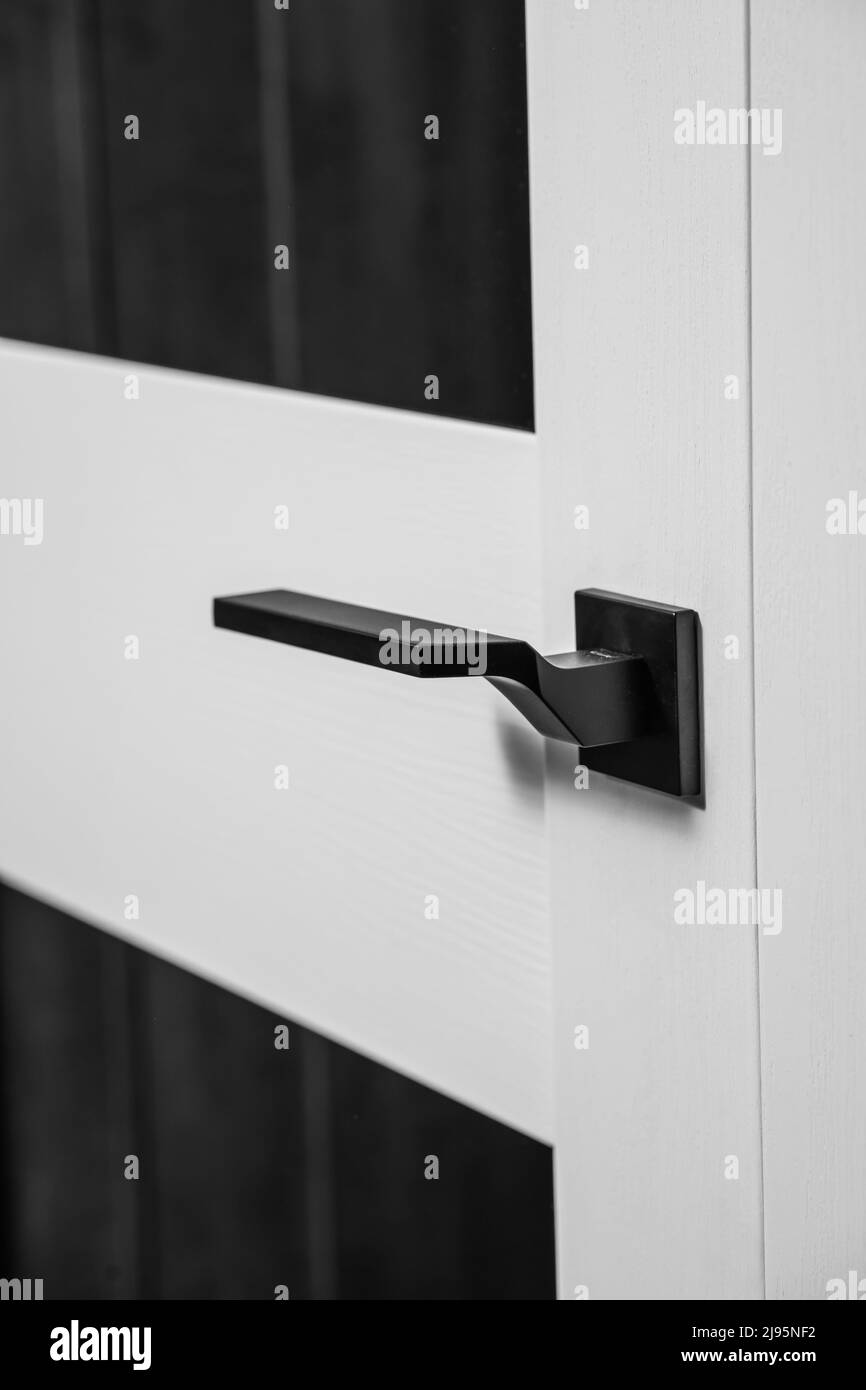 modern and secured metal closed door handle detail Stock Photo