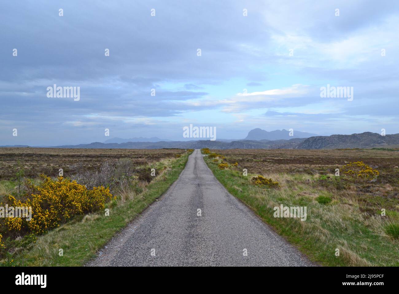 Distant view of Suilven mountain, Assynt, Sutherland, NW Scotland with a long straight road pointing to it. Heather, gorse, wild and lonely scenery Stock Photo