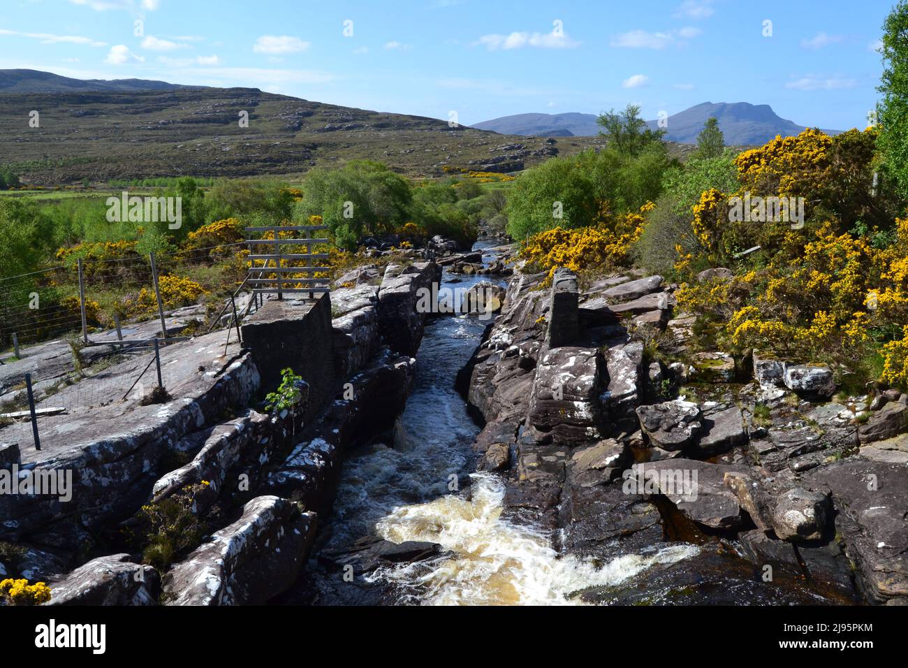 Fast flowing rivers near Ben Mor Coigach, a high ridge near Ullapool in Ross & Cromarty/Assynt in NW Scotland with gorse in flower on a bright spring Stock Photo