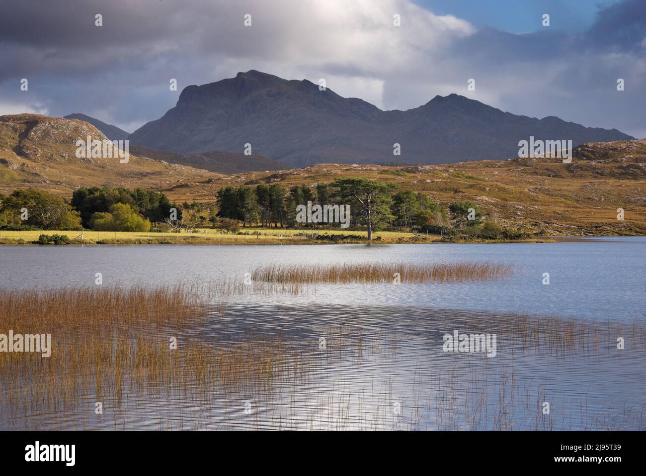 Loch nan Dailthean, Inverewe Estate, Poolewe, Wester Ross Stock Photo