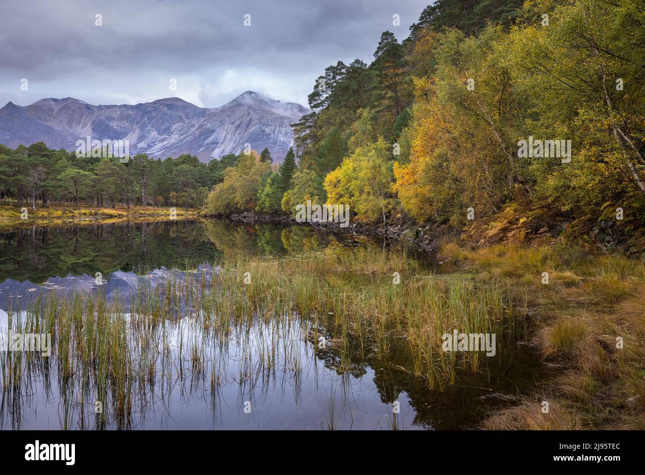 Autumn colours and Beinn Eighe reflected in Loch Coulin, Wester Ross, Scotland, UK Stock Photo